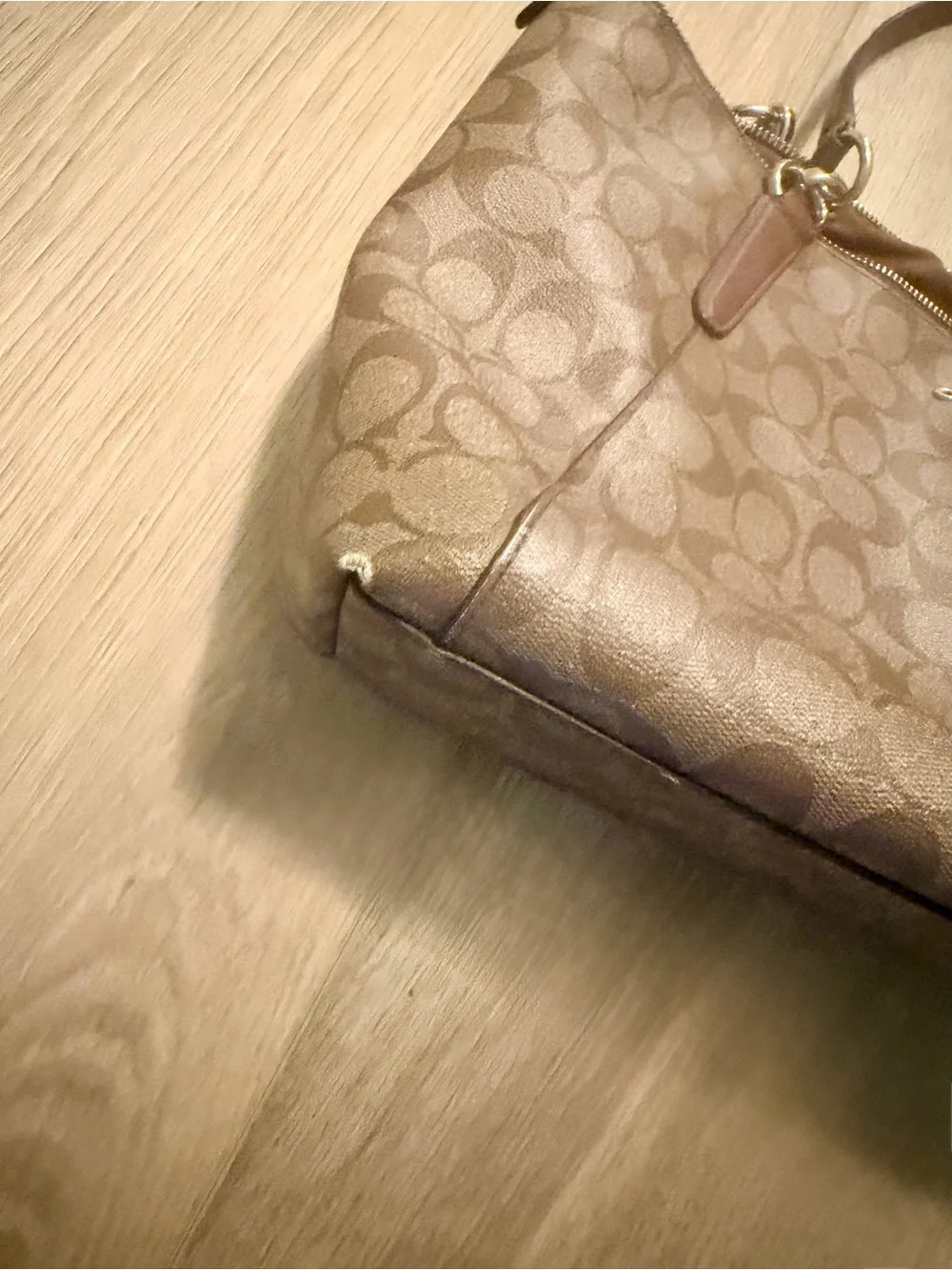 Coach tote signature
